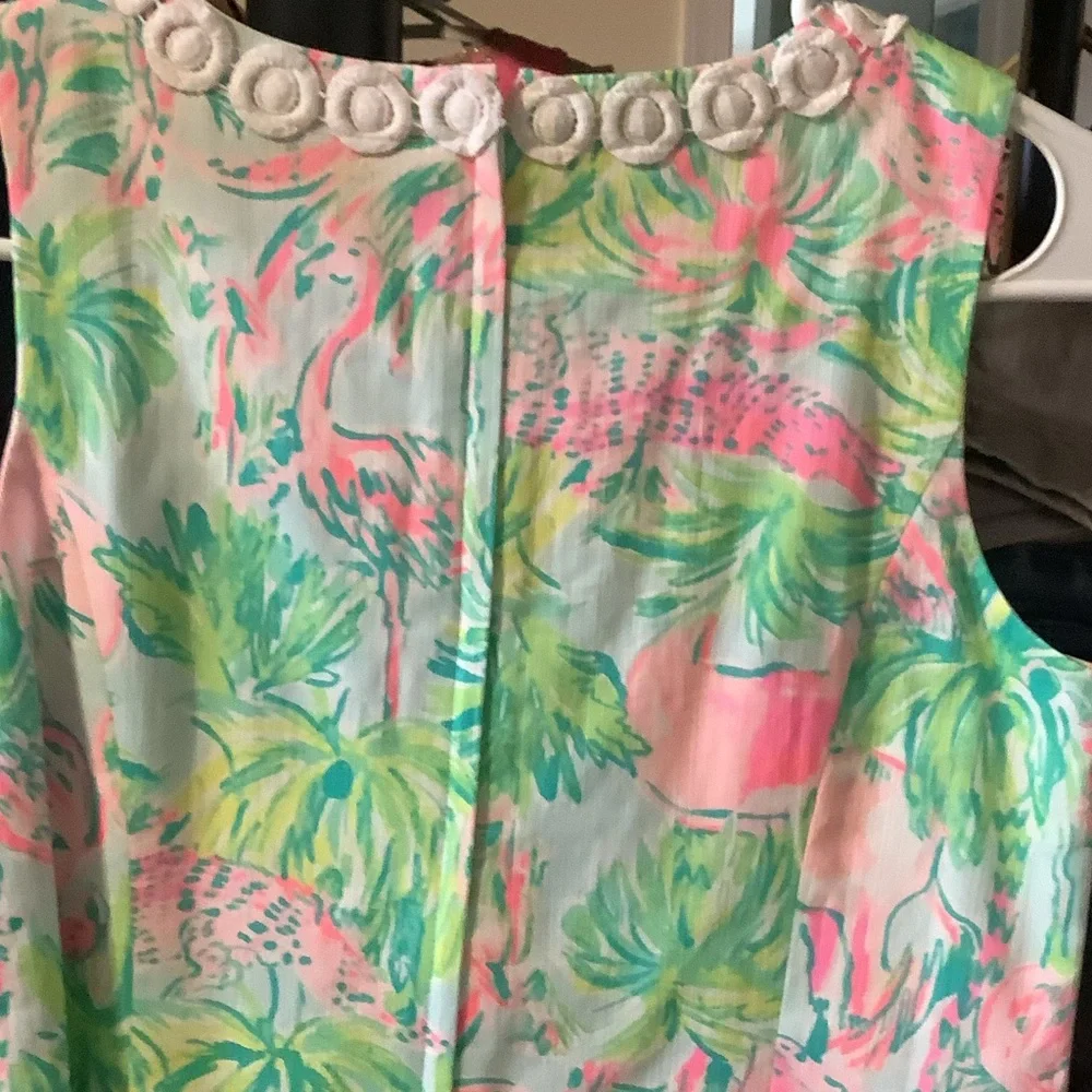 Lilly Pulitzer Floral Dress with Pink and Green On Parade Family‎ Match Preppy